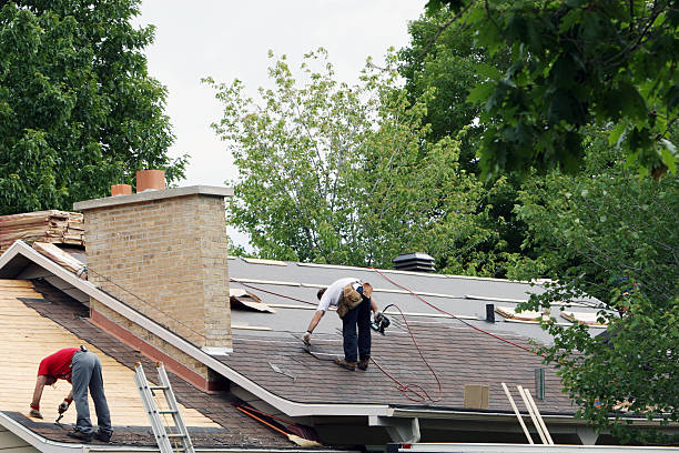 Best Metal Roofing Contractor  in Monticello, IA
