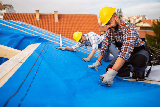 Best Roof Leak Repair  in Monticello, IA